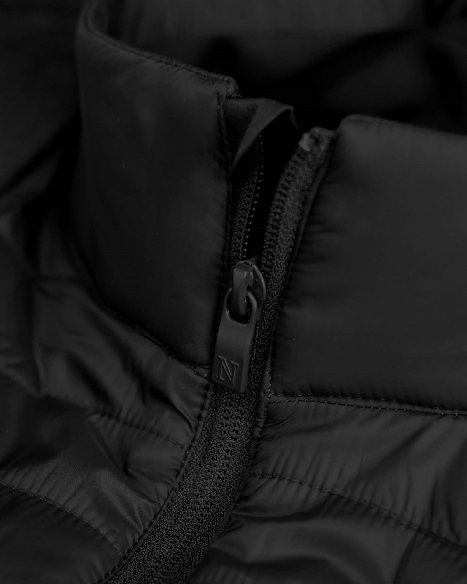 Olympia Men Black Back