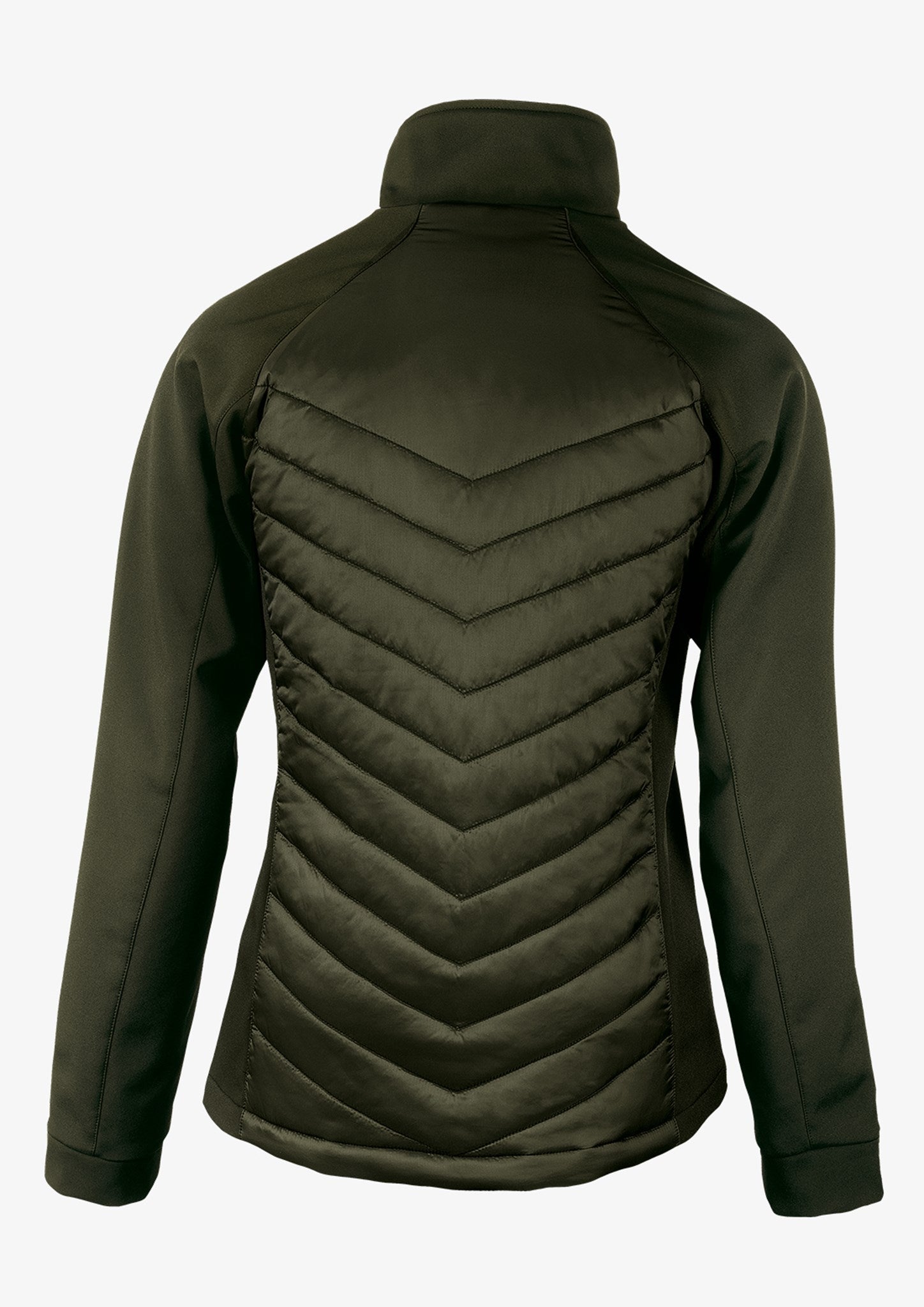 BLOO L Olive 20